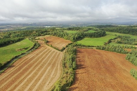 Visite de la Brasserie de la Naine par les équipes du PETR et les représentants de la Commission Européenne en France